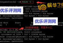 如何为Linux系统VPS挂载数据盘到指定目录-康维主机测评-网站SEO优化