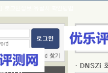 【DNSzi.com】韩国免费DNS解析注册及使用教程-康维主机测评-网站SEO优化